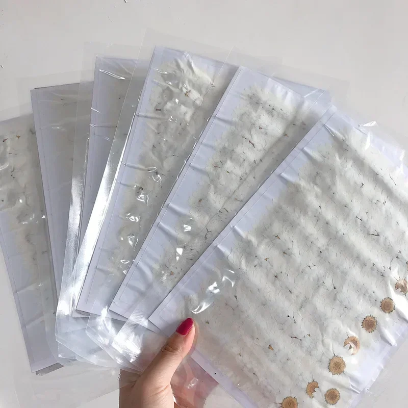 60X Pressed แห้งดอกเบญจมาศสีขา - Dried Flower Bookmark บทวิจารณ์และราคา